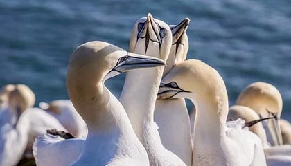 AYX GAMING-杨瀚森不断挑战自我突破身体极限，杨瀚森 篮球