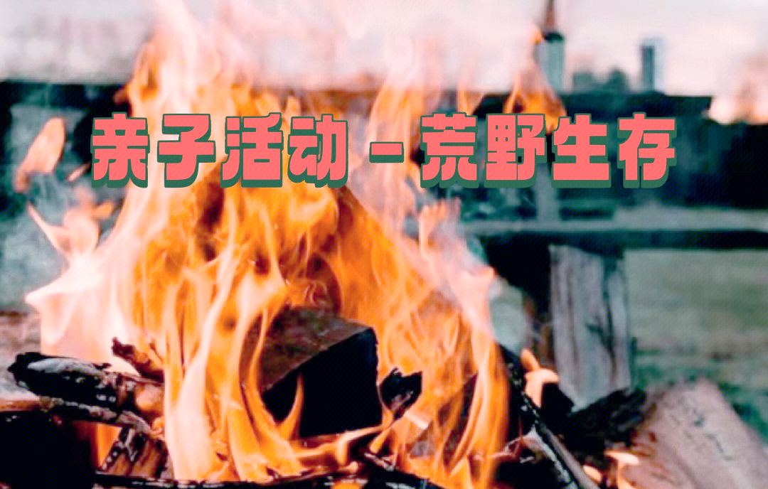 爱游戏体育APP下载-大型野外生存竞技，挑战荒野生存技能