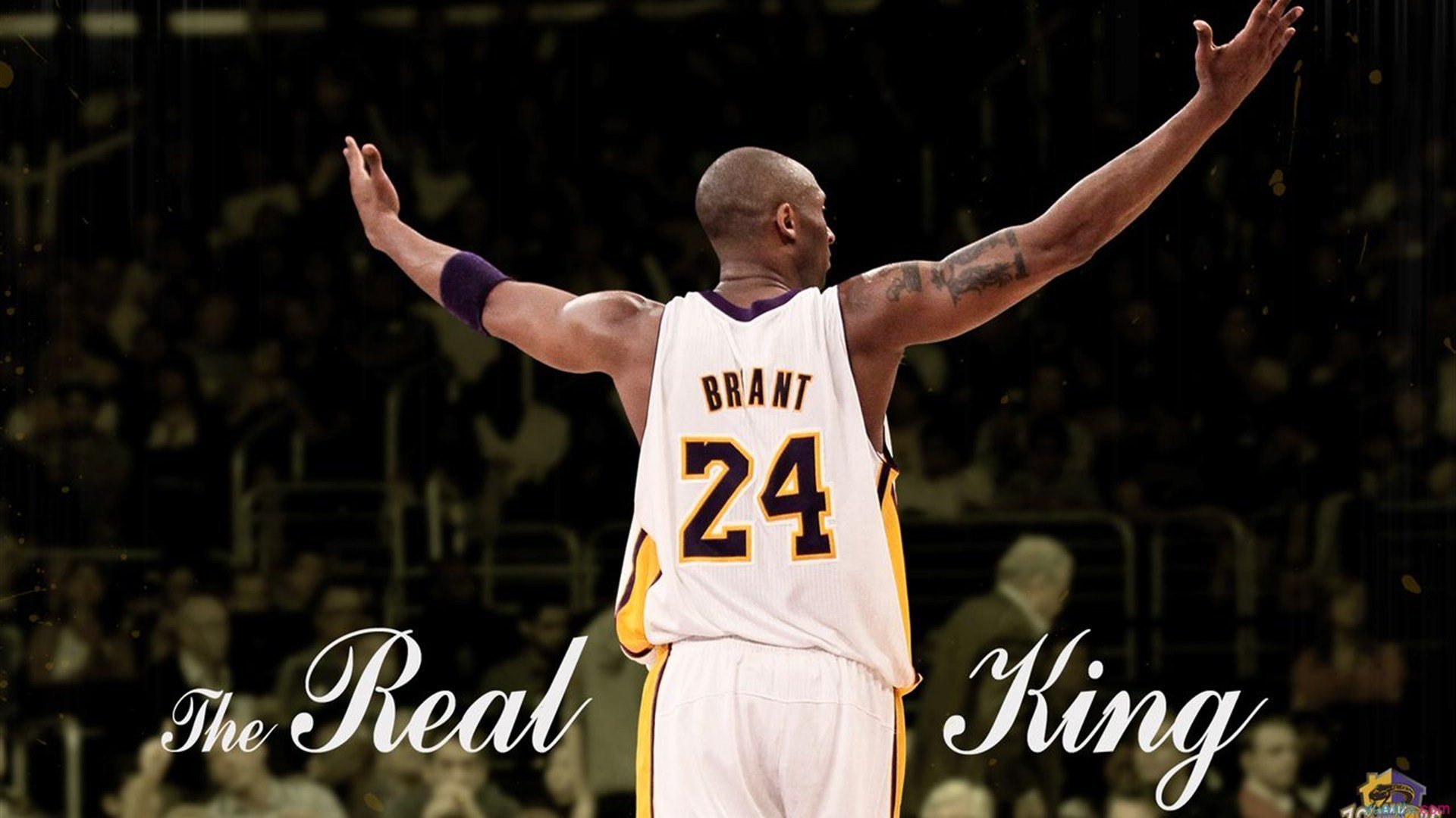 “意甲年轻天才崛起,场场比赛都精彩纷呈”,意甲tim