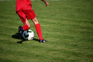 爱游戏综合娱乐-冬奥场馆智能系统协助运动员热身训练，冬奥会设备